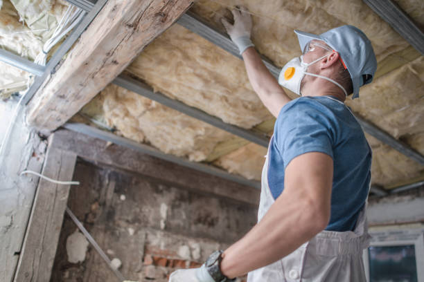 Best Insulation Removal  in Morrisville, VT
