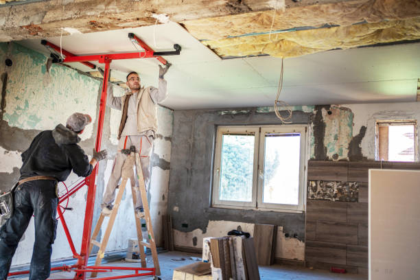 Best Insulation Contractors for Homes  in Morrisville, VT