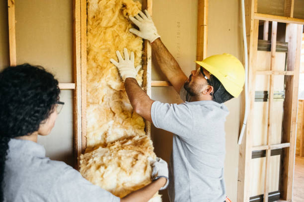 Best Commercial Insulation Contractor  in Morrisville, VT