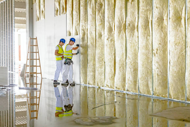 Insulation Contractors for Homes in Morrisville, VT